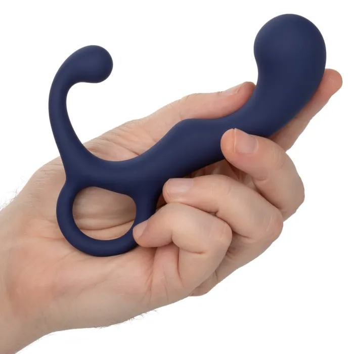 Anal CalExotics Viceroy Agility Probe