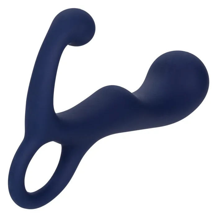 Anal CalExotics Viceroy Agility Probe