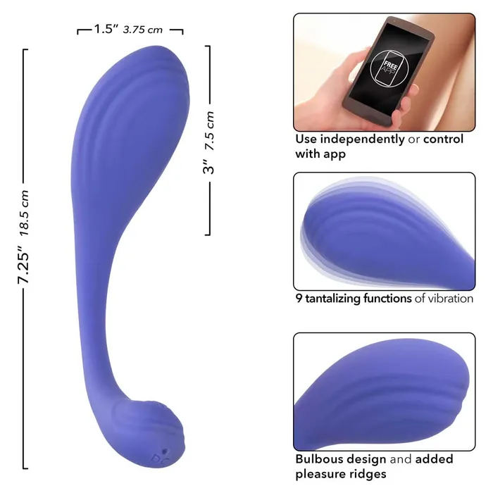 Female Sex Toys CalExotics CalExotics Connect Kegel Exerciser