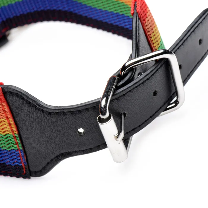 Couples MASTER SERIES MASTER SERIES KINKY PRIDE BONDAGE SET