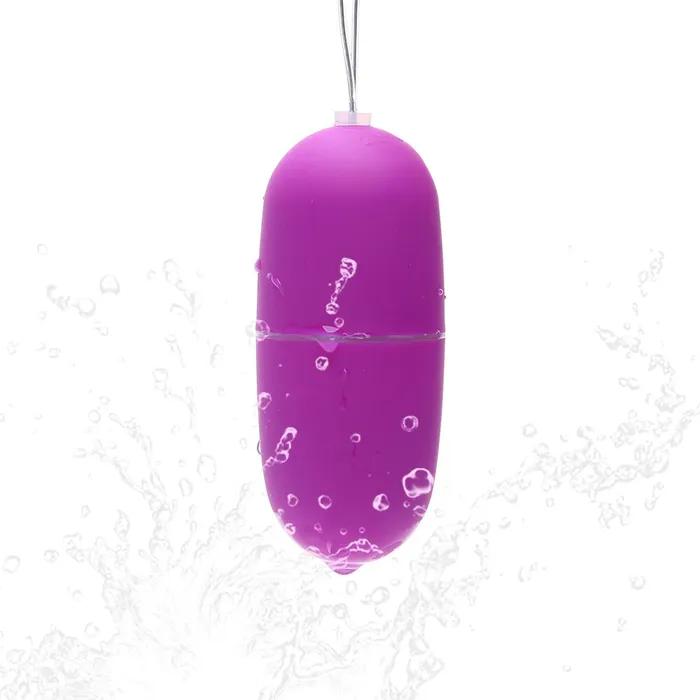 Female Sex Toys Lusty Age Remote Control Bullet Vibrator