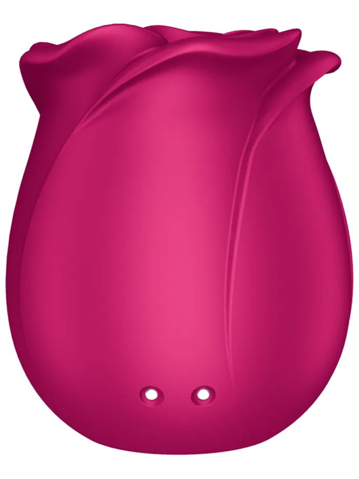 Satisfyer Pro 2 Classic Blossom Rechargeable Air Pulse Rose Stimulator Windsor Wholesale Vibrators