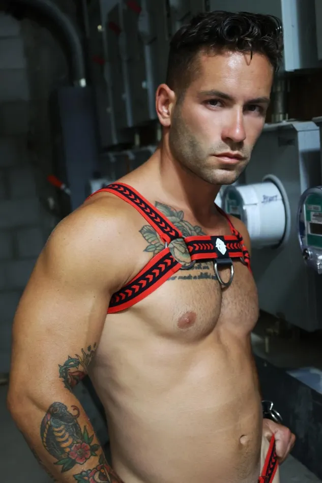 Breedwell Vibrators Daddys Favorite Bulldog Harness Red
