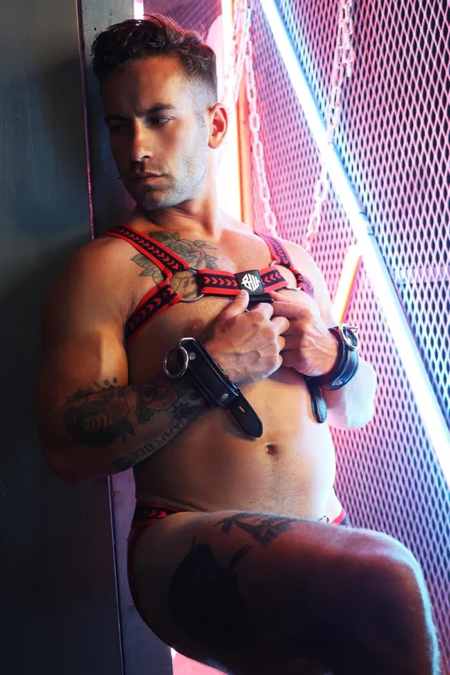 Breedwell Vibrators Daddys Favorite Bulldog Harness Red
