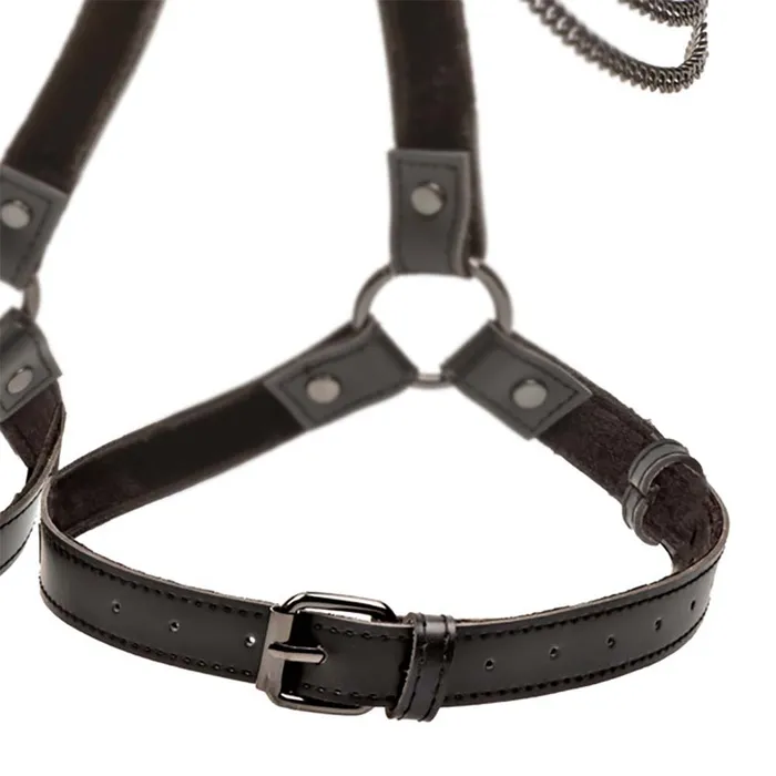 CalExotics Female Sex Toys Euphoria Multi Chain Thigh Harness XL