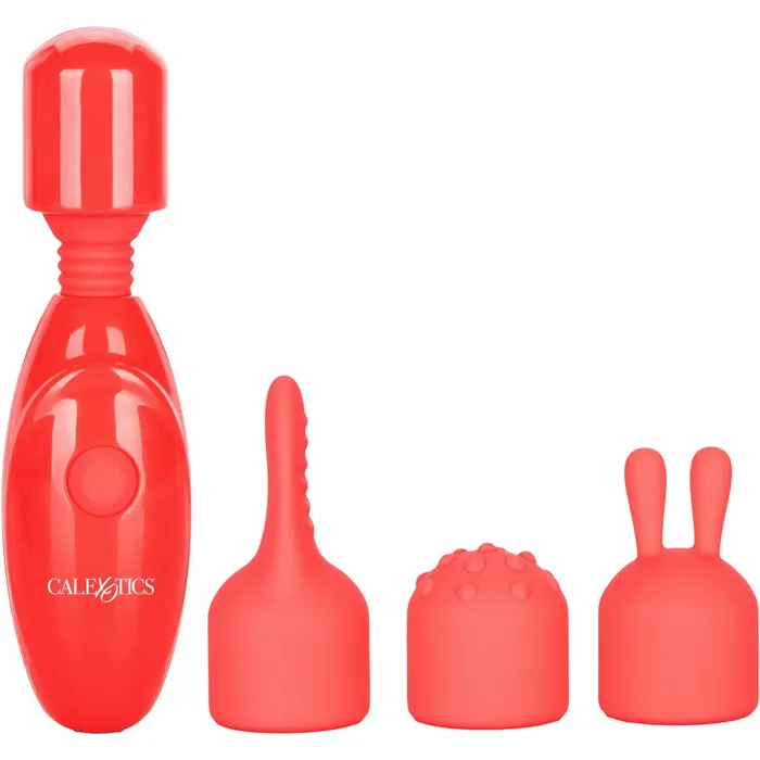 CalExotics Vibrators CalExotics Rechargeable Vibrator Kit Pink