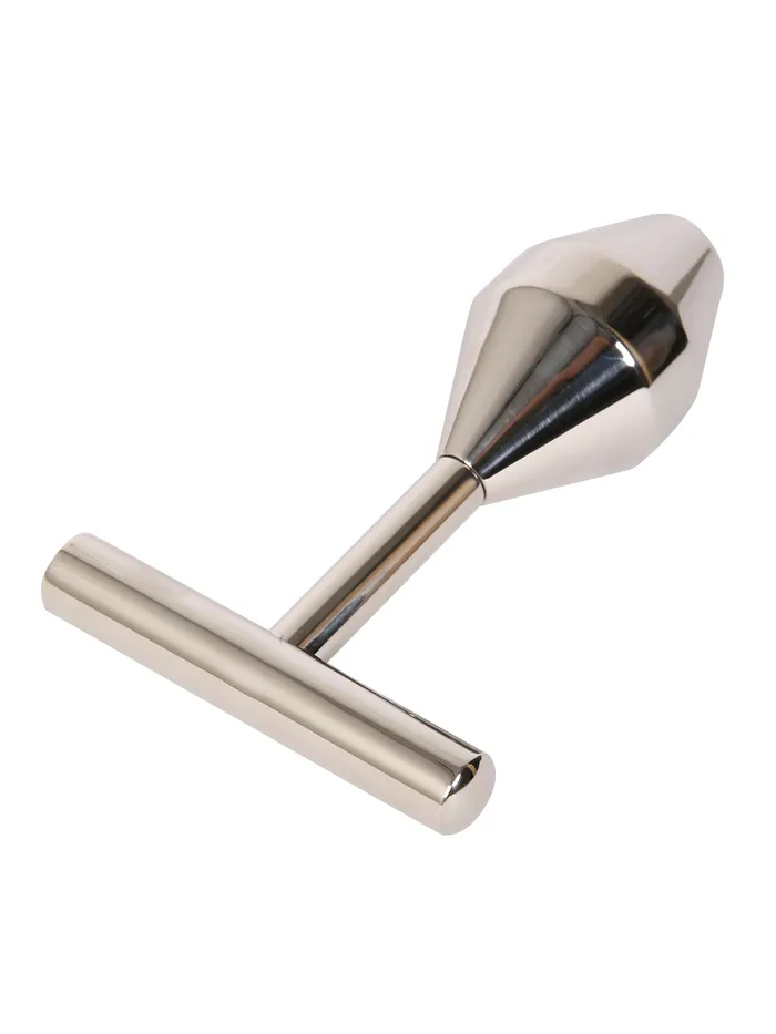 HonourSkintwocom Metal Pleasure Anal Probe Anal