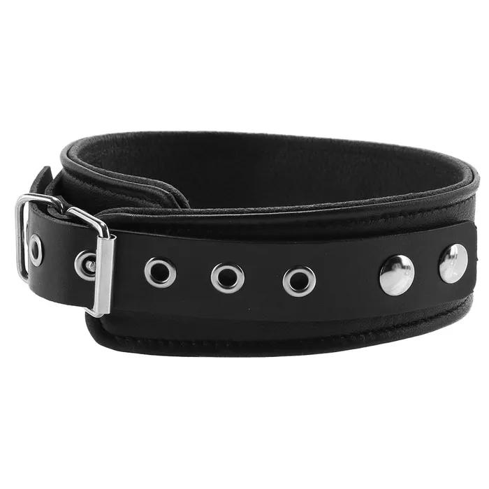 Rouge Restraints Plain Leather Collar in Black