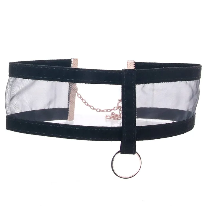 Sportsheets Couples Sex Mischief Sheer Day Collar