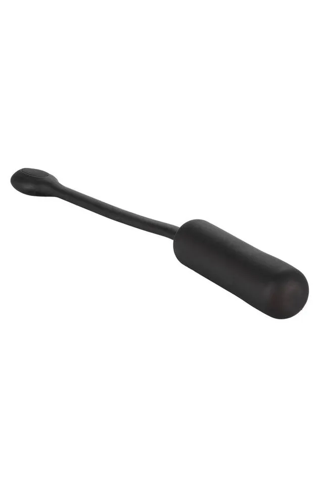 Cal Exotics Cal Exotics Wristband Remote Petite Bullet Female Sex Toys