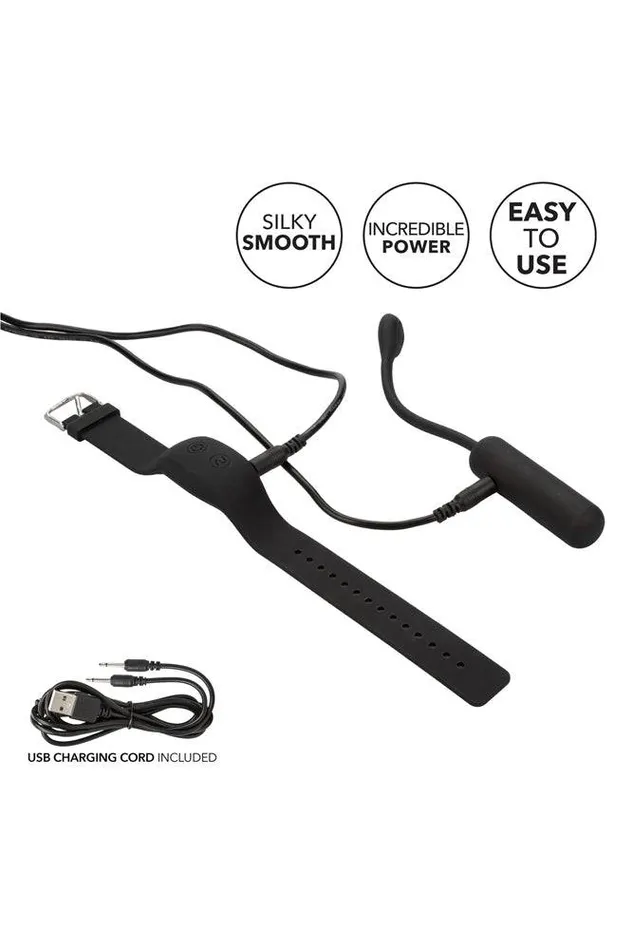 Cal Exotics Cal Exotics Wristband Remote Petite Bullet Female Sex Toys