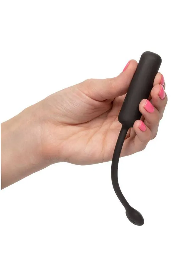 Cal Exotics Cal Exotics Wristband Remote Petite Bullet Female Sex Toys