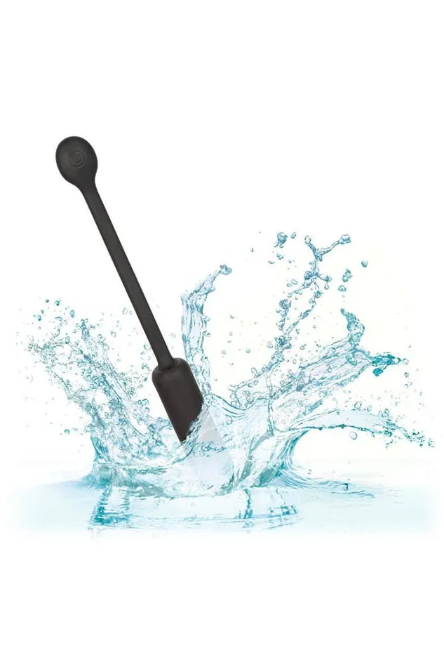 Cal Exotics Cal Exotics Wristband Remote Petite Bullet Female Sex Toys