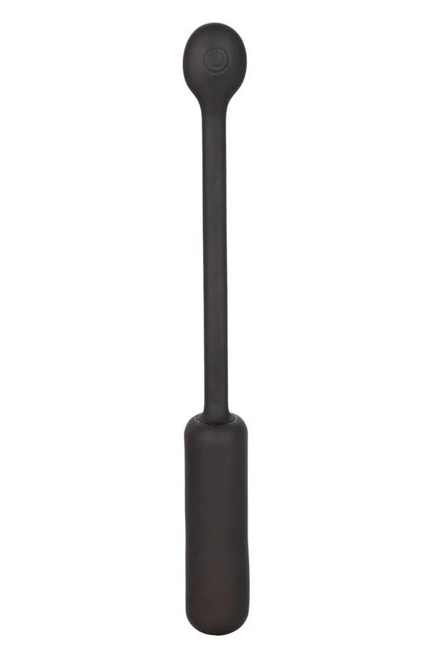 Cal Exotics Cal Exotics Wristband Remote Petite Bullet Female Sex Toys
