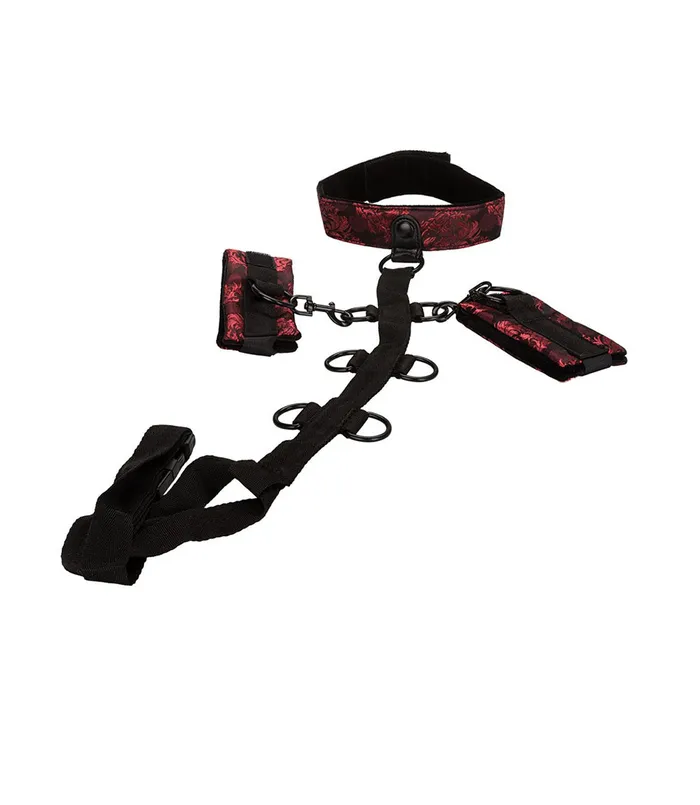 Female Sex Toys California Exotics Scandal Collar Body Restraint