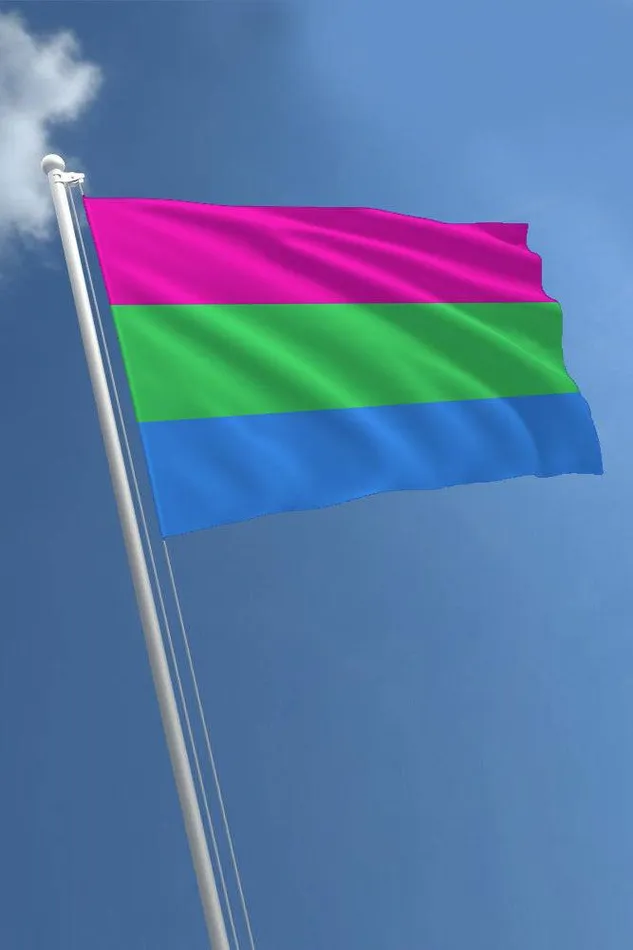 Vibrators Stag Shop Pride Flag Polysexual 3 x 5 Stag Shop