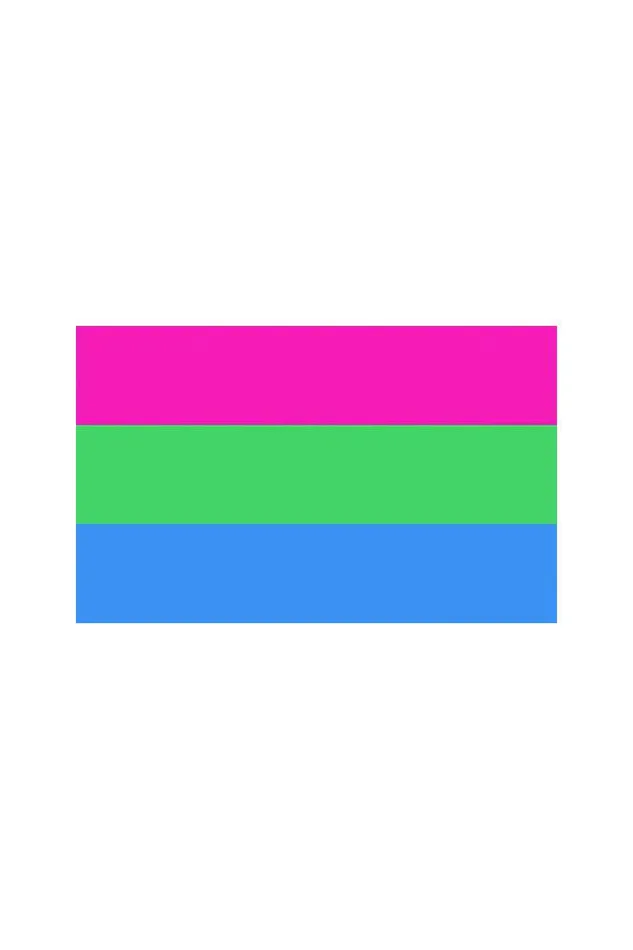 Vibrators Stag Shop Pride Flag Polysexual 3 x 5 Stag Shop