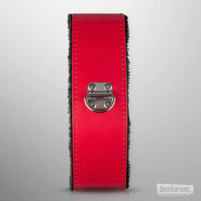 Anal Secret Pleasure Chest Secret Pleasure Chest Red Dragon BDSM Set