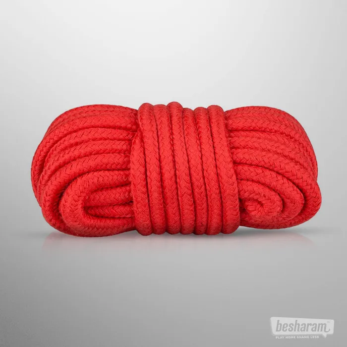 Anal Secret Pleasure Chest Secret Pleasure Chest Red Dragon BDSM Set