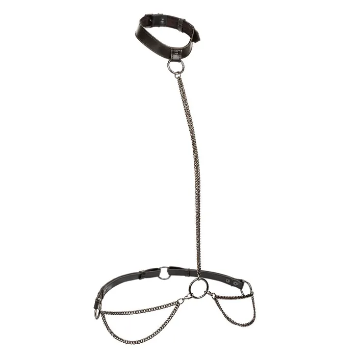 CalExotics Anal Euphoria Collection Chain Haltercollar and Leash Black