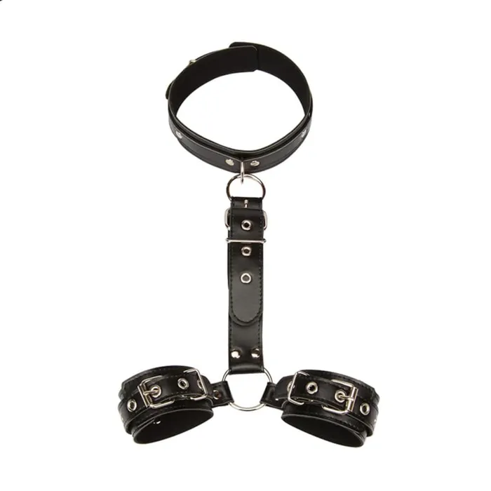 Total Domination Leather Lovegasm Restraints
